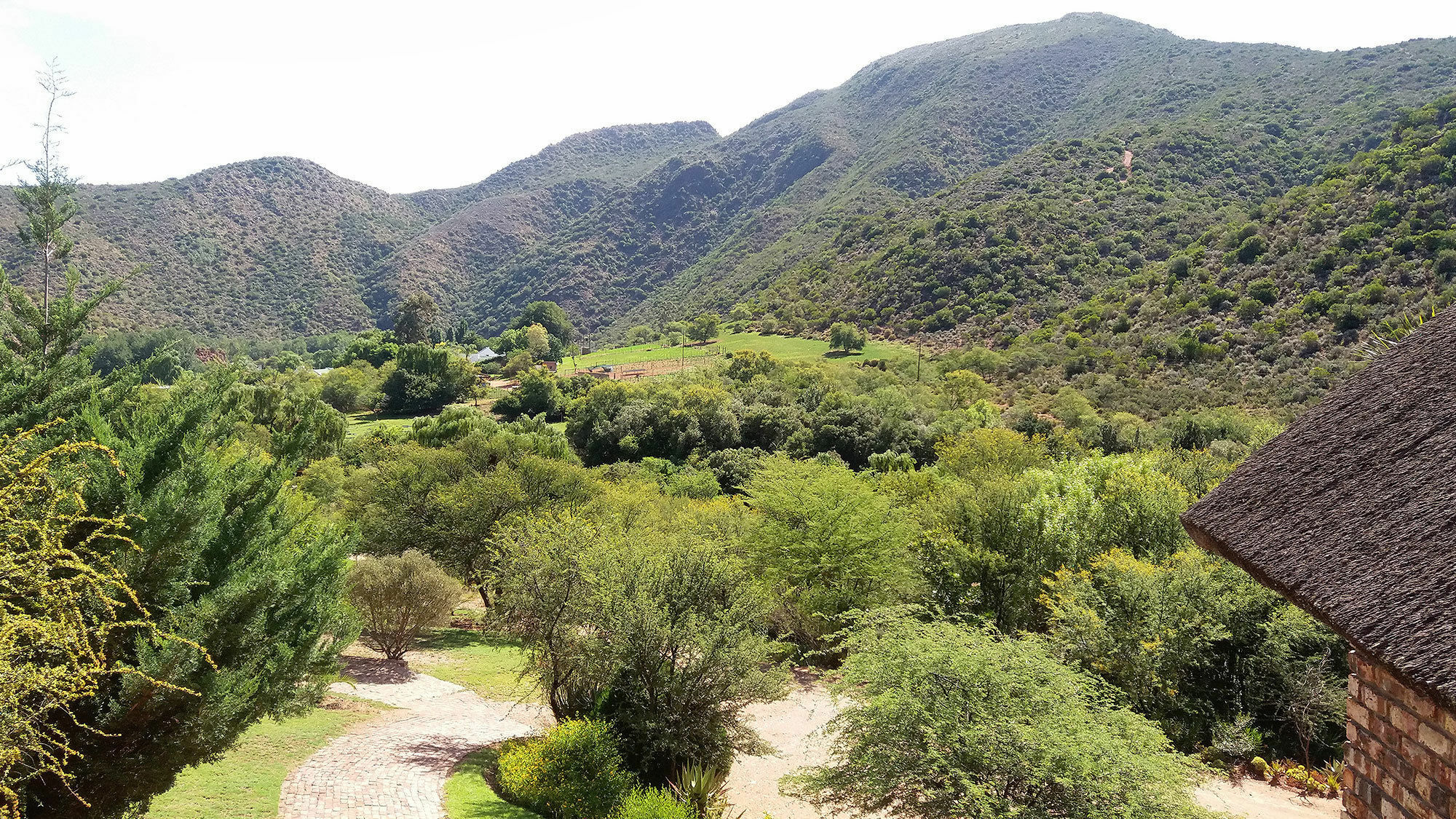 De Poort Country Lodge Oudtshoorn Eksteriør billede